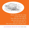 Làm Chủ Bình Minh - Sống Đời Xuất Chúng - CLB 5 Giờ Sáng (Robin Sharma)
