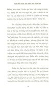 Những Đêm Không Ngủ, Những Ngày Chậm Trôi