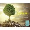 Đi Tìm Lẽ Sống (Tái Bản)