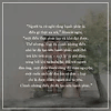 Cây Brooklyn Xanh Biếc - A Tree Grows In Brooklyn