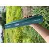 Sách Tấm Bìa cứng- Ran Muội