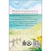 Ngôi nhà trông về phía biển & chuyện ngày sau