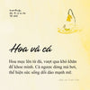 Bộ sách Buông bỏ, sống đời tự do: Mọi Chuyện Đều Là Sự An Bài Tốt Nhất + Cởi Trói Linh Hồn + Không Diệt, Không Sinh, Đừng Sợ Hãi + Điều Đẹp Nhất Có Khi Là Buông Tay + Khi Mọi Điều Không Như Ý
