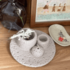 Bộ Thanh Tẩy Nhà Cửa Xô Thơm Trắng & Palo Santo, Xô Thơm Thanh Tẩy, Xông Nhà Mới, White Sage
