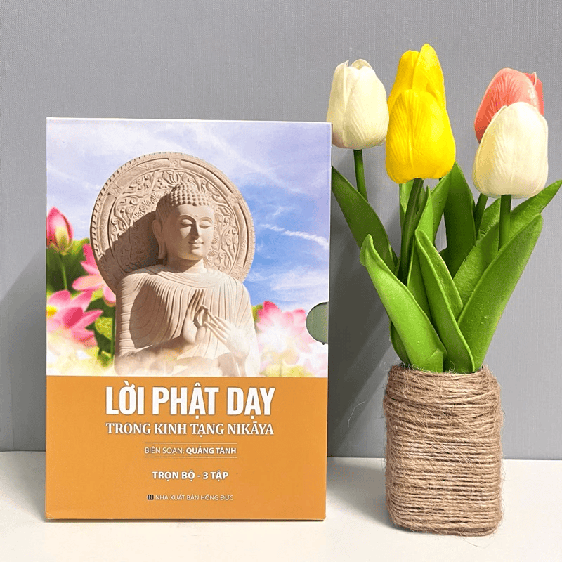 Sách - Lời Phật Dạy Trong Kinh Tạng NIKAYA (Trọn Bộ 3 Tập)