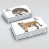 Bộ Thẻ học Thông minh - 416 Tấm Flashcards Tiếng Anh - 16 Chủ Đề Mới Nhất