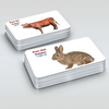 Bộ Thẻ học Thông minh - 416 Tấm Flashcards Tiếng Anh - 16 Chủ Đề Mới Nhất