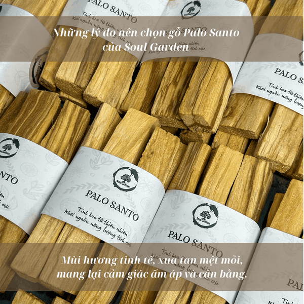 Gỗ Trắc Xanh (Palo Santo) đốt thơm nhà cửa, thanh tẩy nhập khẩu