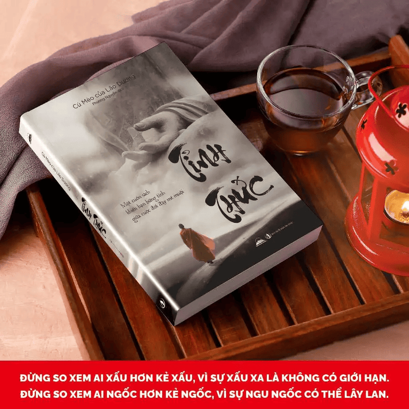 Sách - Tỉnh Thức - Cuốn Sách Khiến Bạn Bừng Tỉnh Giữa Cuộc Đời Đầy Mê Muội - Cú Mèo Của Lão Dương