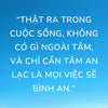 Bộ 3 Cuốn Sách Thầy Thích Pháp Hòa - Lá Hoa Trên Đường Về + Con Đường Chuyển Hóa + Chia Sẻ Từ Trái Tim (tặng túi vải canvas + lá bồ đề)