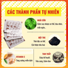 S4 - Hộp 50 miếng dán ngãi cứu thải độc cho bàn chân giúp thải độc lưu thông tuần hoàn máu