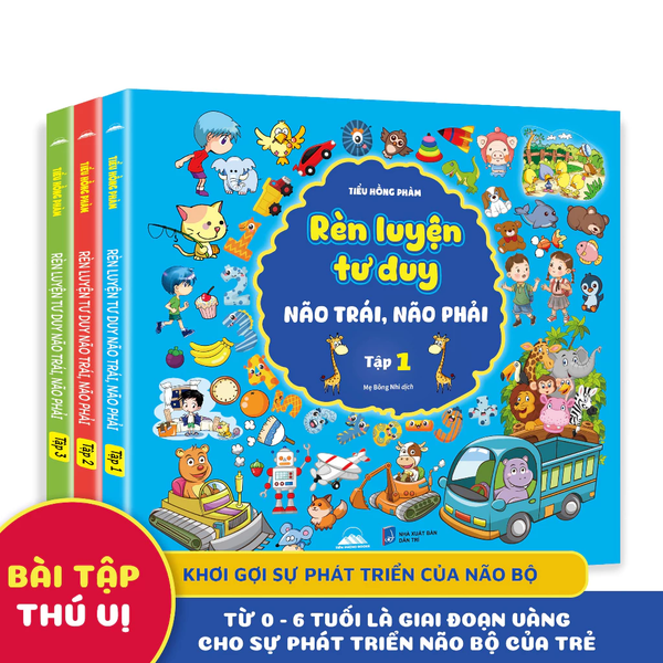 Rèn Luyện Tư Duy Não Trái, Não Phải (Trọn Bộ 3 Tập) - Tiên Phong Books