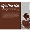 Ngũ Hoa Hạt OBAXUA Nguyên Chất - 250g / 1kg
