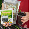 Set sâm bí đao hạt chia ONICI nguyên liệu nấu nước sâm giải nhiệt