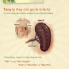 Phụ Nữ Tỳ Hư Rất Mau Già